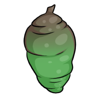 Pupa